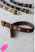 Brown Leather Dog Collar With Stars - SAMPLE
