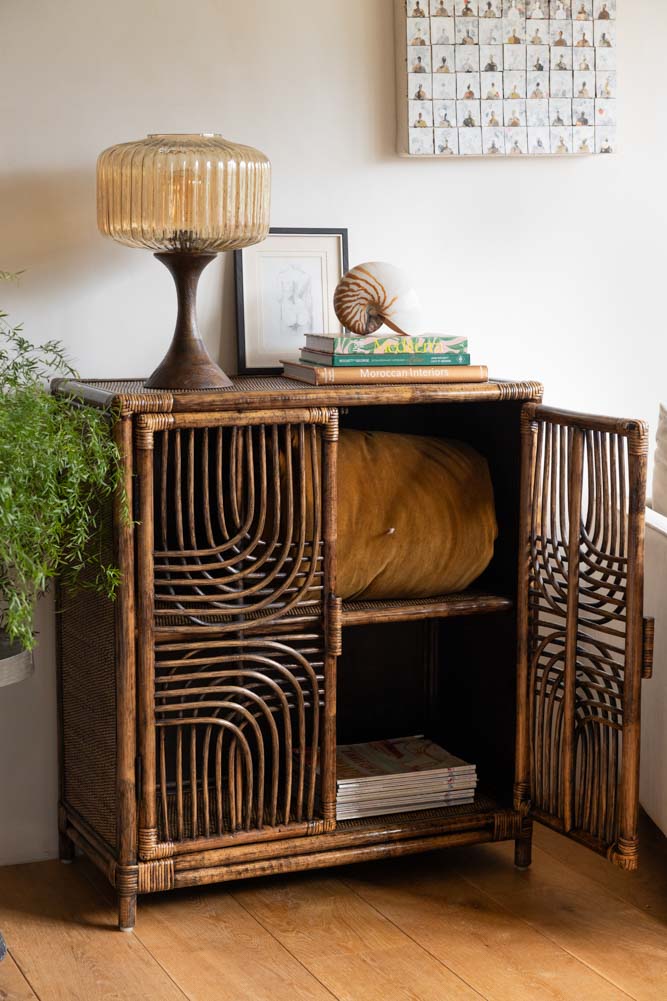 Beautiful Dark Brown Rattan 2 Door Cabinet