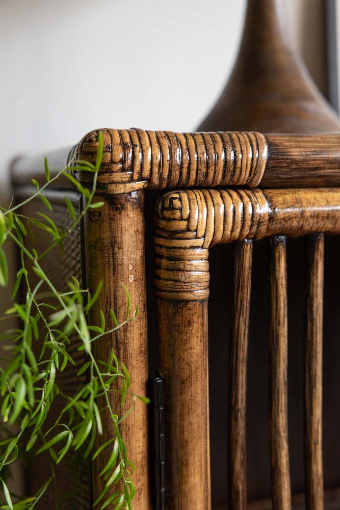 Beautiful Dark Brown Rattan 2 Door Cabinet