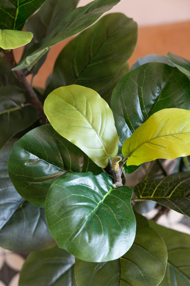 Beautiful Faux Fig Artifical Plant
