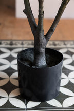 Beautiful Faux Fig Artifical Plant