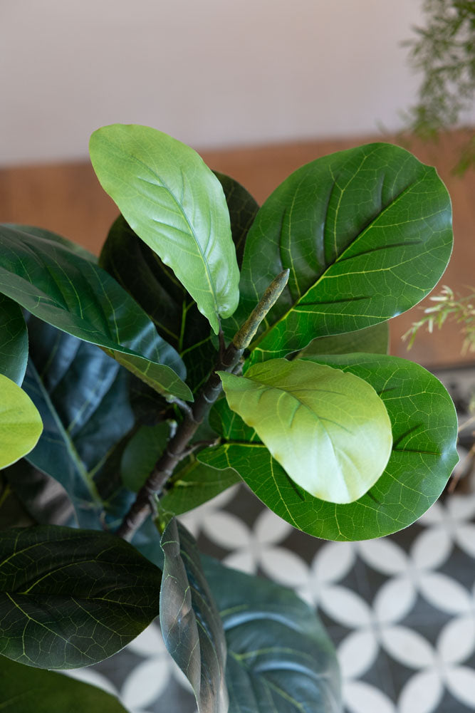 Beautiful Faux Fig Artifical Plant