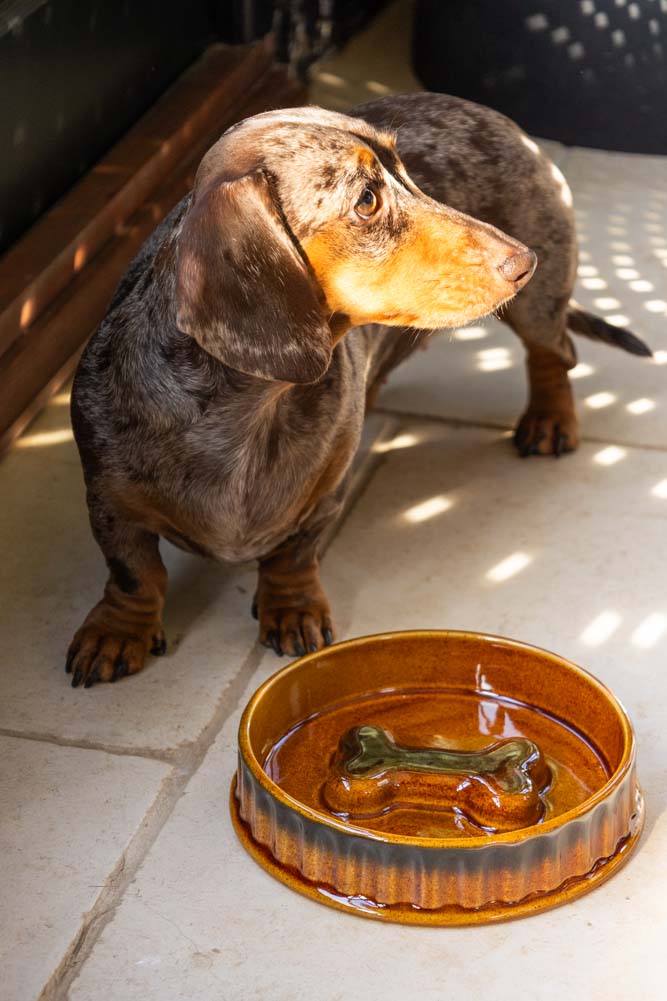Ceramic Dog Bowl