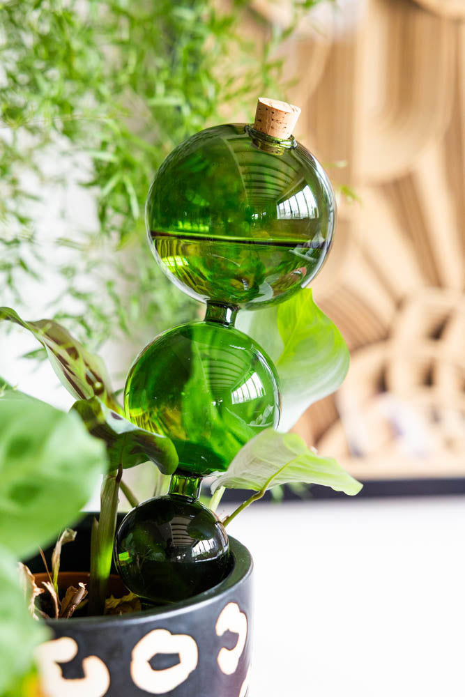 Pipette auto-arrosante en verre vert