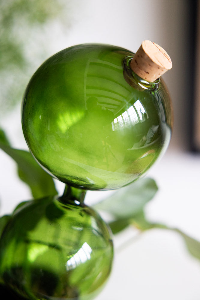 Pipette auto-arrosante en verre vert