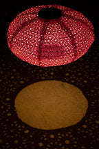 Lanterne solaire d'extérieur suspendue rose vif