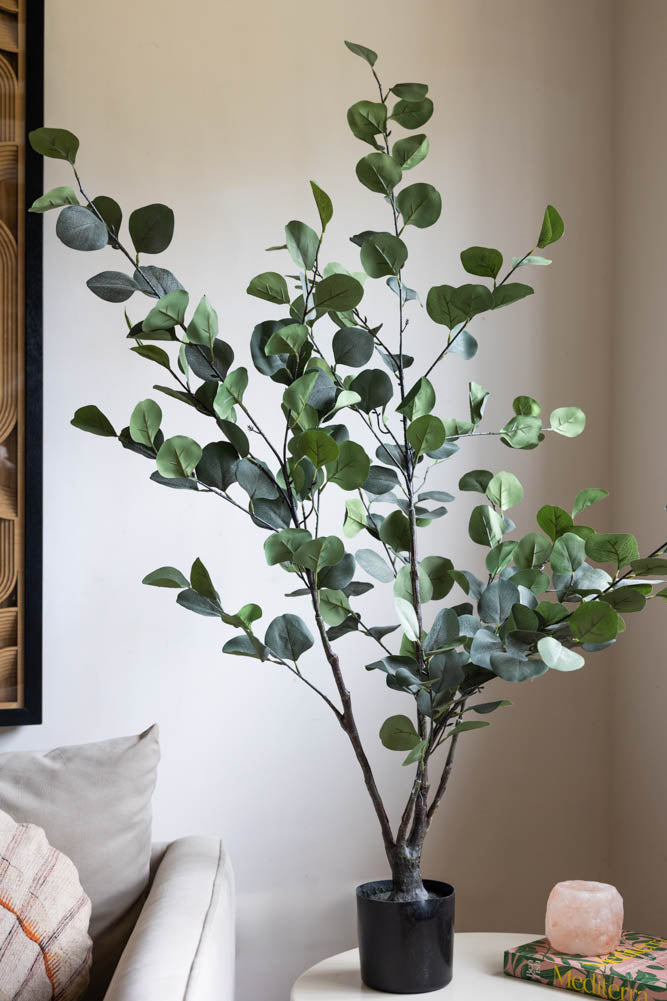 Grande plante d'eucalyptus artificiel en pot
