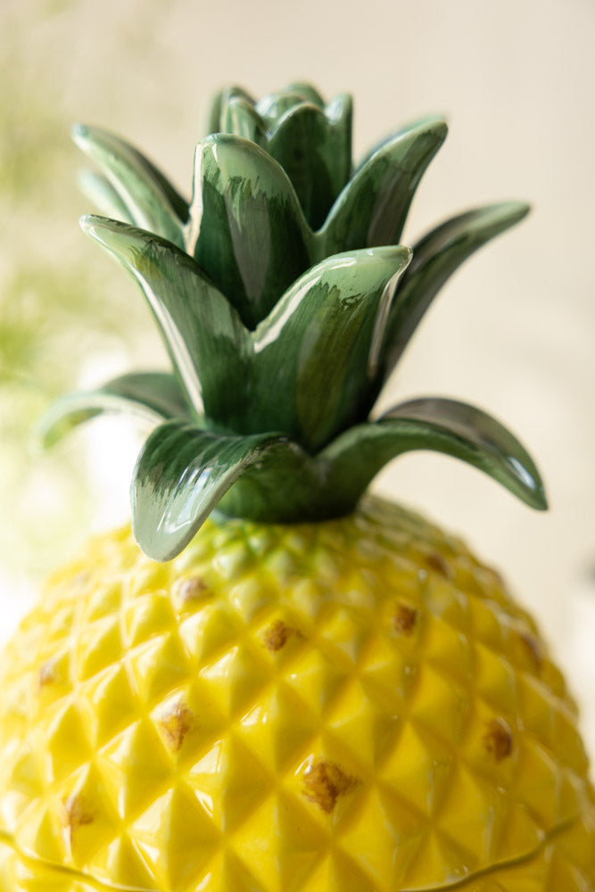 Grand pot de conservation en céramique pour ananas