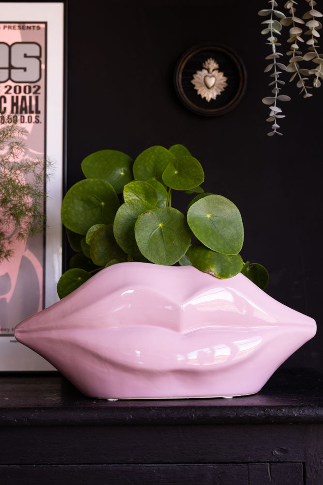 Jardinière d'intérieur à lèvres roses