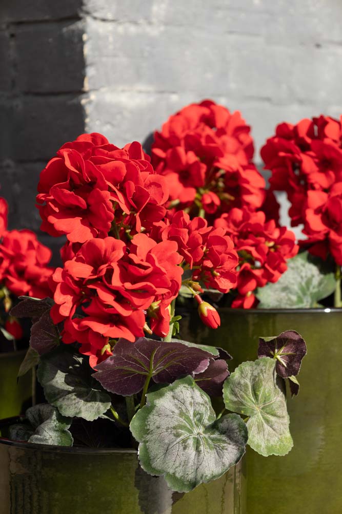 Faux géranium rouge en pot