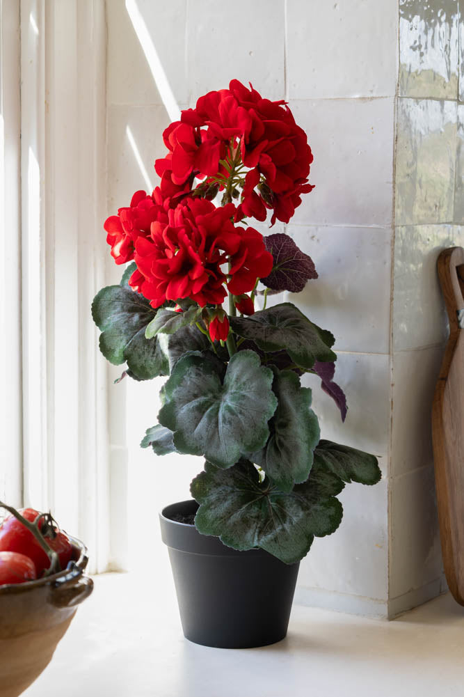 Faux géranium rouge en pot