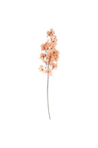 Pretty Pink Blossom Flower Stem