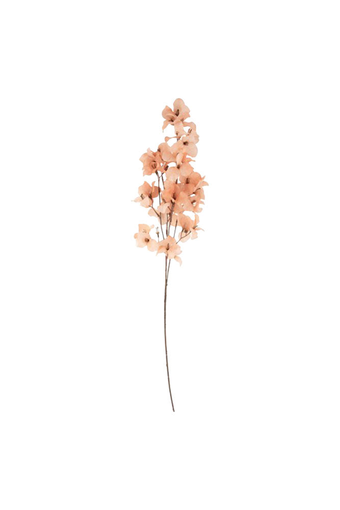 Pretty Pink Blossom Flower Stem