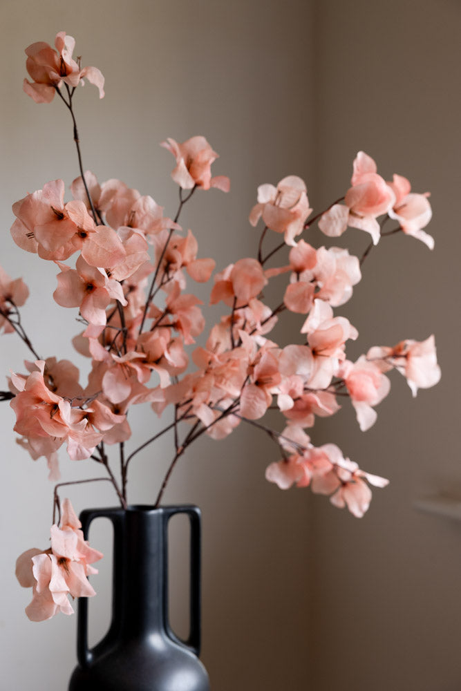 Pretty Pink Blossom Flower Stem