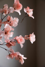 Pretty Pink Blossom Flower Stem