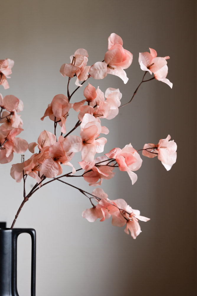 Pretty Pink Blossom Flower Stem