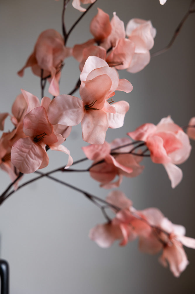 Pretty Pink Blossom Flower Stem
