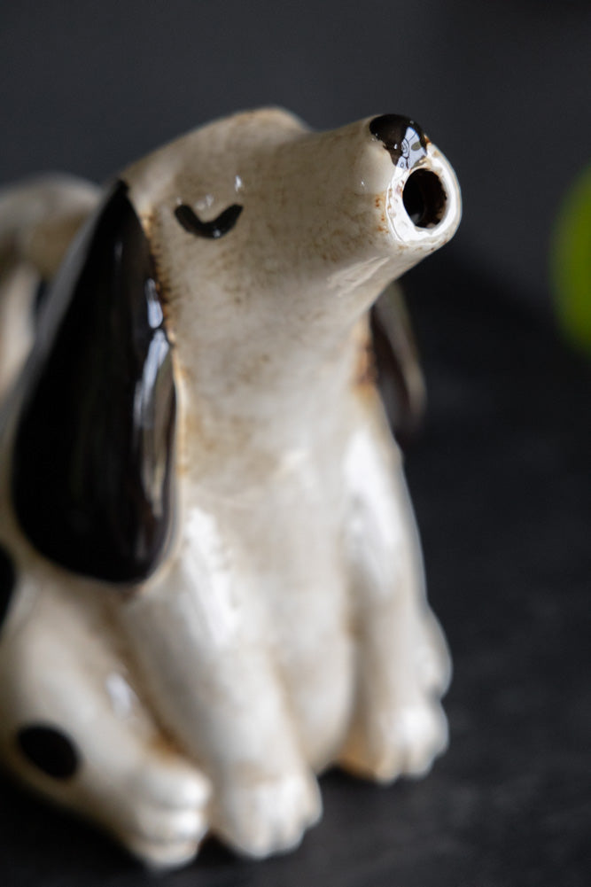 Quirky Spotted Dog Pitcher Jug