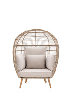 Rattan Inspired Garden Egg Chair