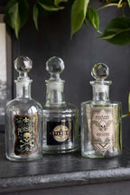 Set of 3 Apothecary-Style Poison Decanter Bottles