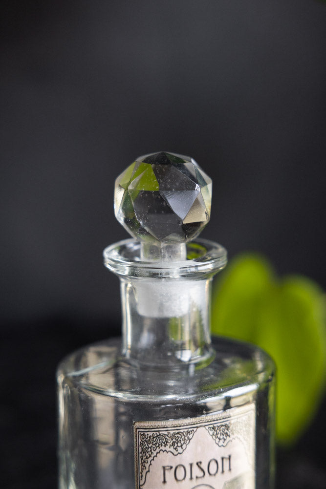 Set of 3 Apothecary-Style Poison Decanter Bottles