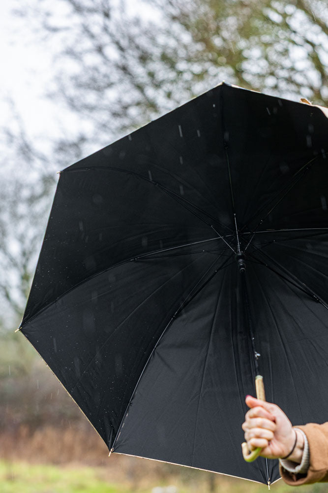 Parapluie à imprimé zèbre doré métallisé