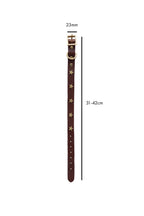 Brown Leather Dog Collar With Stars - SAMPLE