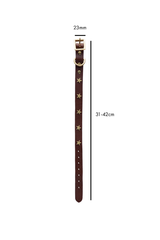 Brown Leather Dog Collar With Stars - SAMPLE